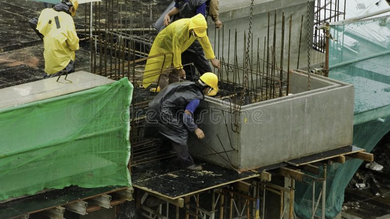 上海园林绿化清包工价格：影响因素与合理估算
